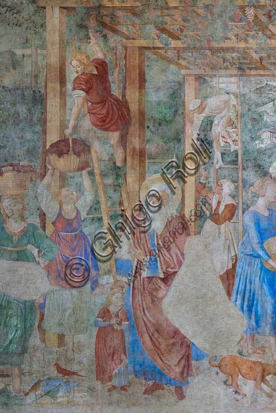 Affresco della Vendemmia ed Ebbrezza di Noè di Benozzo Gozzoli nel Camposanto Monumentale di Pisa