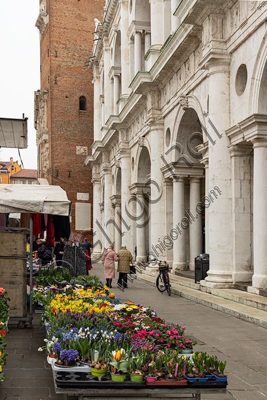 Colorful flower stall in foreground with the iconic portico of the Palladian Basilica in the background, Vicenza