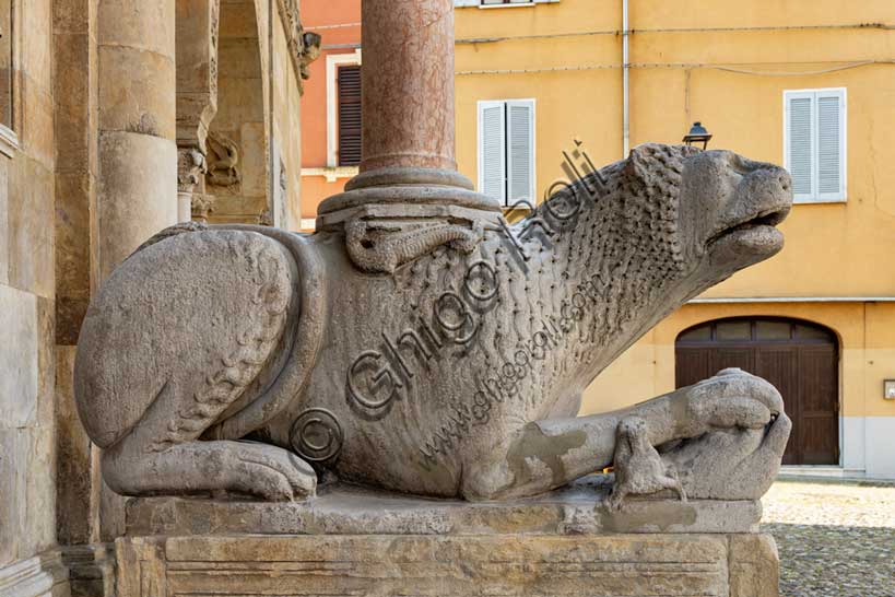 Fidenza, Duomo (Cattedrale di San Donnino), facciata, protiro: leone stiloforo di destra.Opera di Benedetto Antelami e bottega.