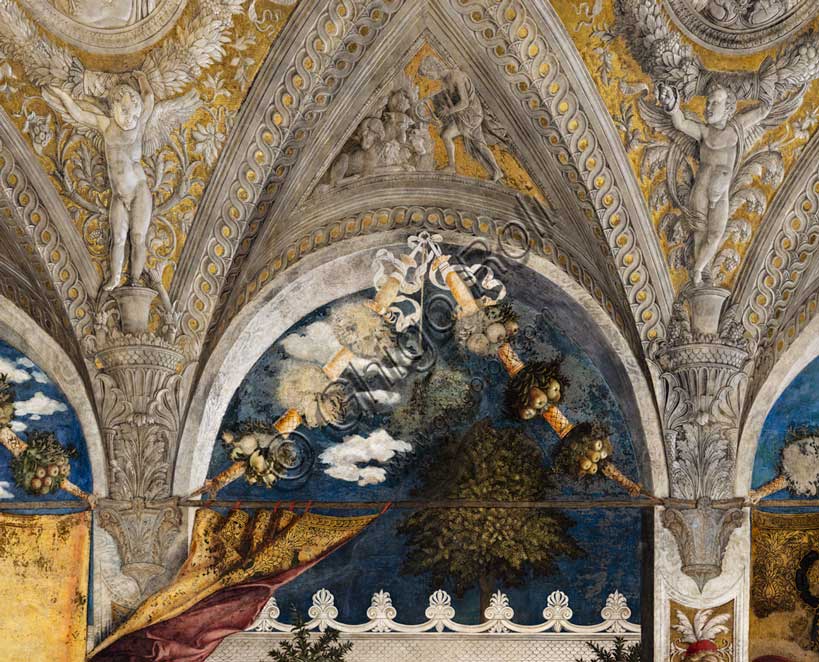 Palazzo Ducale: parete nord ovest della  “Camera degli Sposi o Camera Picta”, che è una stanza collocata nel torrione nord-est del Castello di San Giorgio di Mantova. È celebre per il ciclo di affreschi che ricopre le sue pareti, capolavoro di Andrea Mantegna, realizzato tra il 1465 e il 1474. Particolare di lunetta con festoni e simboli araldici.