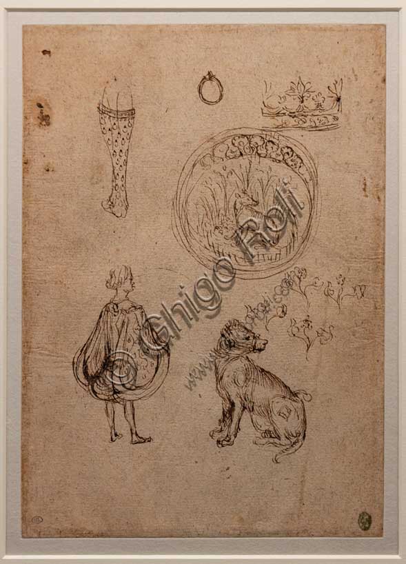 “Various studies: leg, ring, crown, man in contemporary clothes, emblem with dog and flowers”, by Antonio di Puccio, known as Pisanello, brown ink and pen on paper, before 1433.