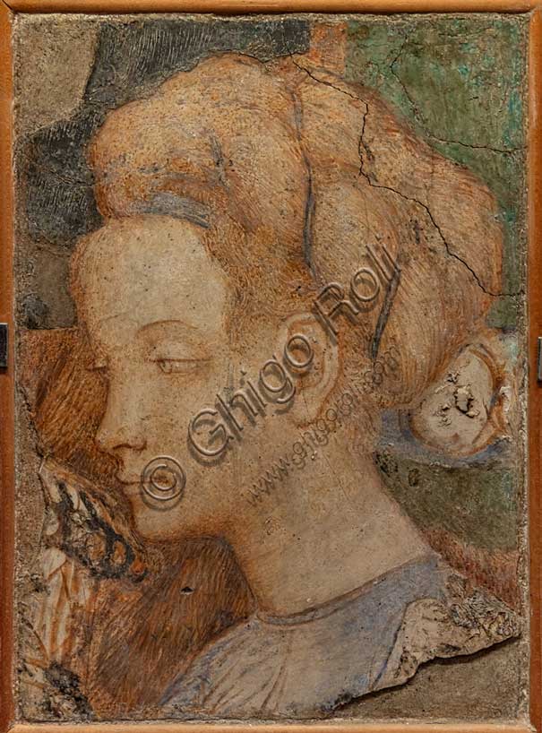 “Testa di donna”, dipinto murale strappato, di Antonio di Puccio, detto il Pisanello, 1430 - 35. Il frammento è stato collegato al ciclo di affreschi con le Storie di S. Giovanni della Basilica di S. Giovanni in Laterano a Roma, iniziato da Gentile da Fabriano e portato a compimento da PIsanello. 