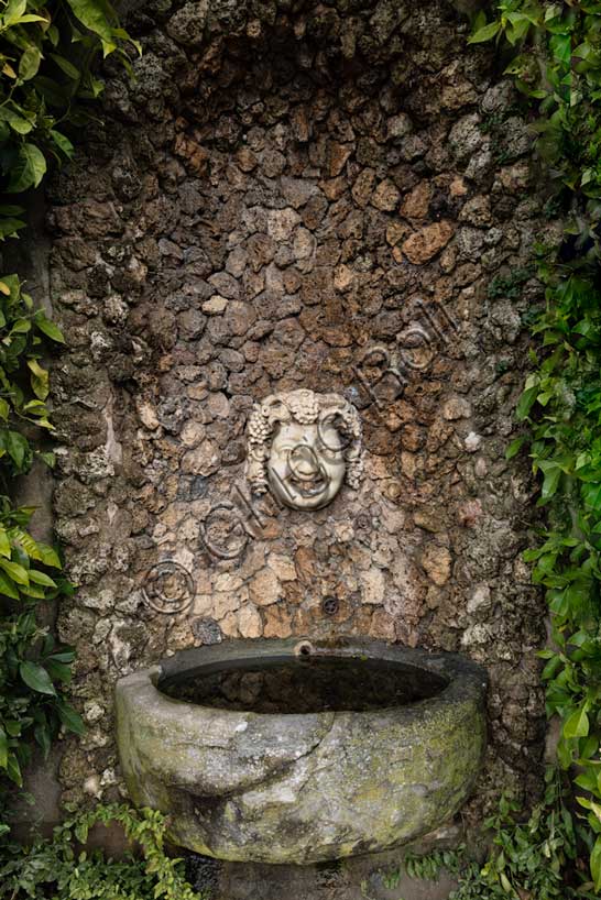 Medici Villa La Petraia:  a fountain with the face of Bacchus.